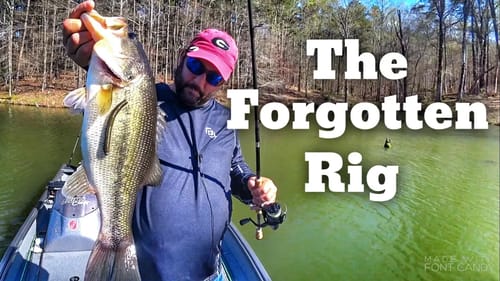The Bass Fishing Rig I Forgot About - Beginner