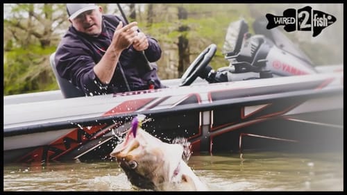 Tips to Simplify Casting Rod Setups for Bass Fishing
