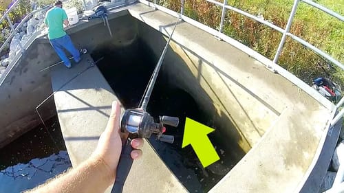 Unexpected GIANT Fish Catch from Spillway!!! (RARE)