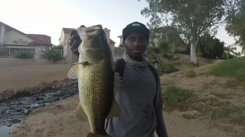 Pond Hopping For Big Bass In Small Ponds!?