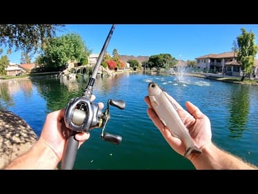 These PRIVATE Ponds Have So Many Fish! (Yes The Cops Were Called)