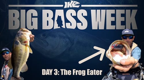 Big Bass Week Day 3! The Frog Eater!