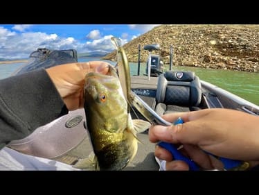 I Couldn't Keep Them Off My Baits!! | Lake Oroville Prefrontal Spring Fishing