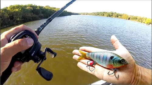 FALL BASS FISHING w/ my New Favorite Bait!
