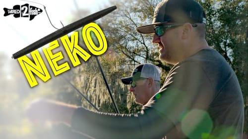 Neko Rig 101: Catch More Bass Than Your Buddy
