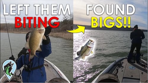 Tournament GAMBLE Pays Off? | Winter Bass Fishing Tournament Strategy