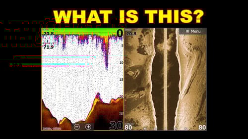 Reading Electronics for Summer | Bass Fishing