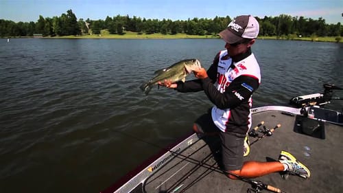 Fishing Brush for Bass
