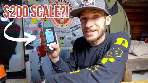 The TRUTH About the $200 Bubba Scale....