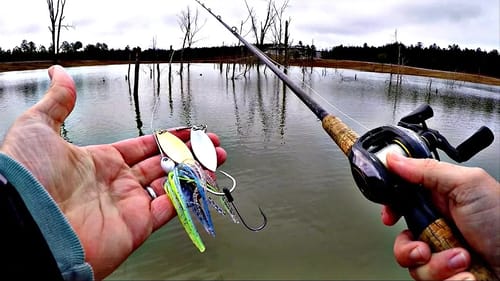 Spring Fishing Tips (Unexpected Catch)