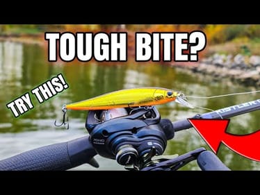 Slow Bite? Throw THIS Bait NOW!