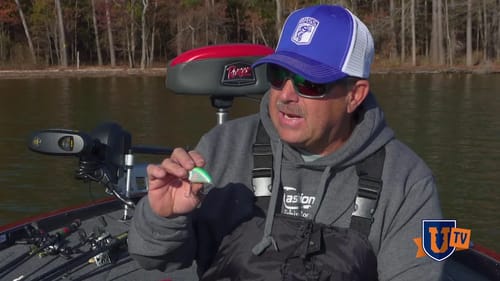 What Do You Know About Shallow Cranking for Bass?