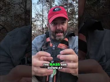 Bass Fishing Secret: Find Fish FAST! #shorts