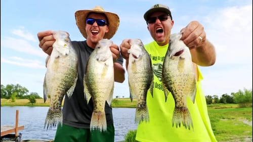CRAPPIE FISHING Secrets For BIG SLABS! Using Jigs!