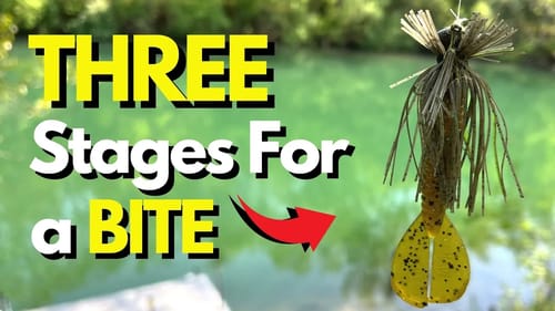UNLOCK the Secret to Jig Fishing