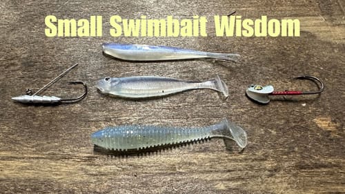 Small Swimbait Modifications And Techniques For Above-Average Anglers Only
