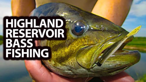 HOW to FISH : UNIQUE Smallmouth Bass Fishing Techniques