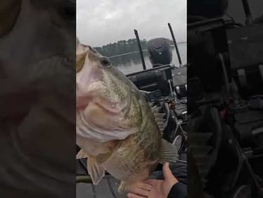 9 Pound 6 Ounce Bass 🤯