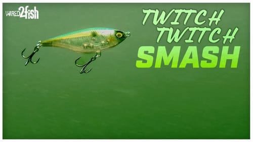 How to Fish Twitch Baits for Bass | Jerkbait Alternative