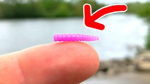 MICROSCOPIC Lure Challenge!!! - The SMALLEST Jig in the WORLD!!