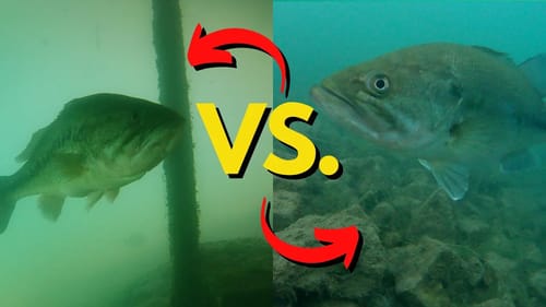 Two KEY Ways Junk Fishing Can Help Us | Bass Fishing Tips