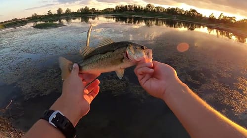 Quick After School Session (Back in Texas)