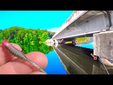 How To Catch Crappie In The Summer Heat! Lake Fishing For Crappie