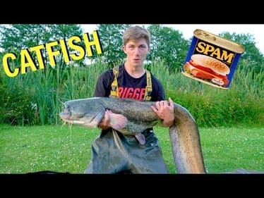 Catching MONSTER Catfish on SPAM -- Ch. 1