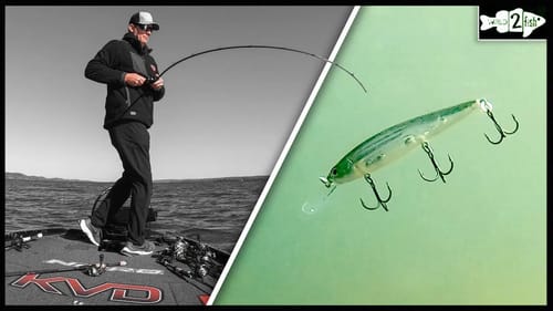 4 Jerkbait Tips for Fall Smallmouth Bass with KVD