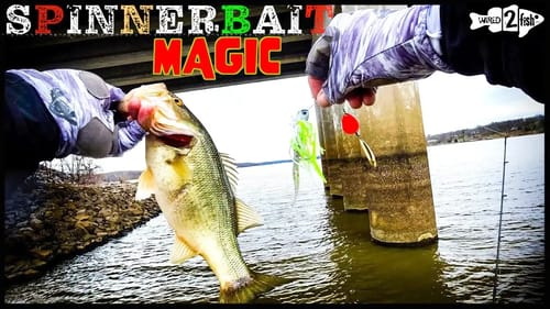 Smashing GOOD BASS on EVERY CAST with a Spinnerbait