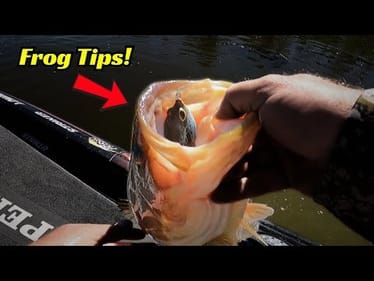 Frogging Tips For All Anglers That Result In Big Bass Bites!