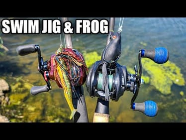Bank Fishing with Frogs and Swim Jigs (Summer Bass Fishing Tips)