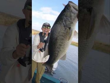 Japan Bass Fishing Is Easy!
