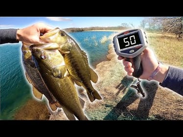 Catching 50LBs Of Bass -- Fishing CHALLENGE! (Is It Possible?)