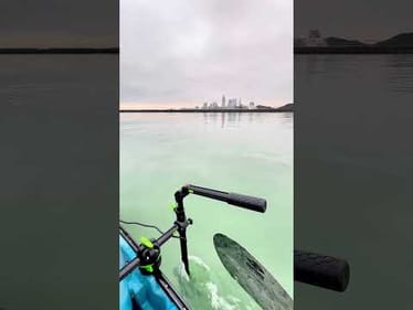 About to Cheaterbox Me Some Walleye