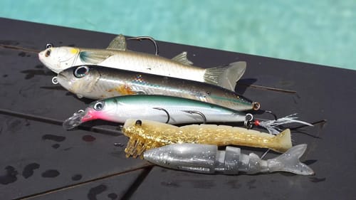 TOP 5 INSHORE LURES
