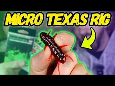 Top 5 BFS Lures You NEED to Try! Micro Texas Rig?!