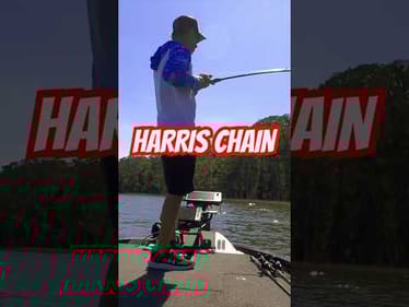 Chatterbait 🎣 Harris Chain MLF Toyota Series #short #bassfishing #boatfliponly