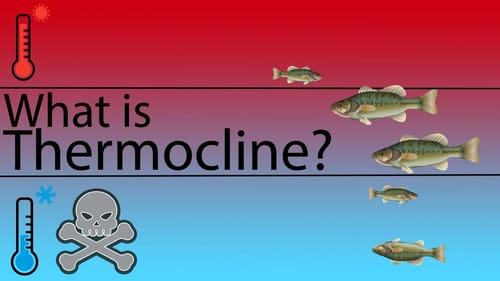 Ott Defoe Bass Fishing Tips : Thermocline, Stratification & Lake Turnover