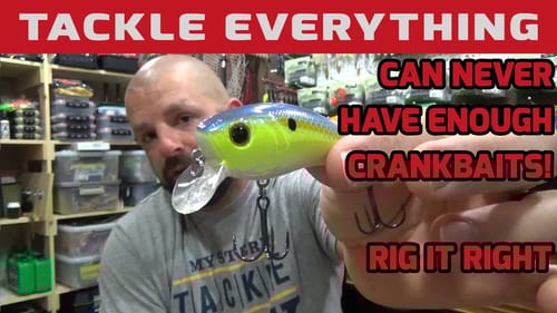 Can NEVER Have Enough Crankbaits   Rig It RIght