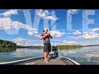 They're LOADED! Catching Bass in the Fall Fishing LAKE GUNTERSVILLE!