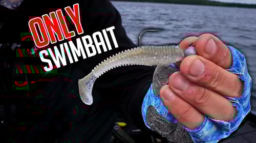 You CAN'T Fish FALL Bass WITHOUT this SWIMBAIT