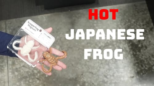 This Japanese Frog Is Unlike Any Other Frog On The Market And It's Amazing!