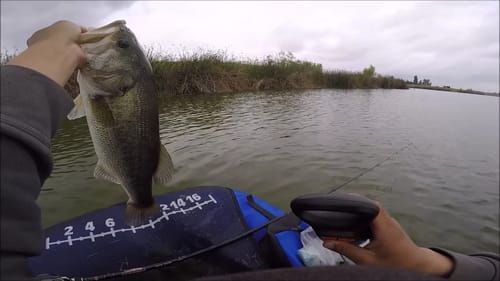 Fishing H Pond
