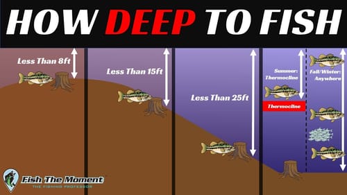 The Most Important Video About Offshore Bass Fishing You Will Ever Watch (Probably…)