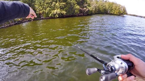 AGGRESSIVE Pike bite on Big Swimbait!!