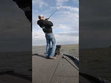 Flipping Worms on the Harris Chain #shorts #bassfishing #flipping