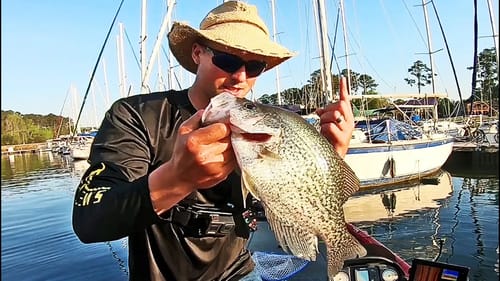 Catching MONSTER SLABS Crappie Fishing in the SPRING! (Minnows)