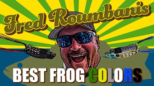 How to Catch Bass on Topwater Frogs & 2 Must-Have Colors