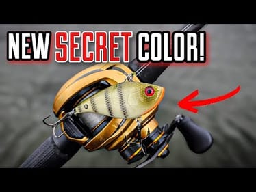 This SIMPLE Change Caught MORE Fish!
